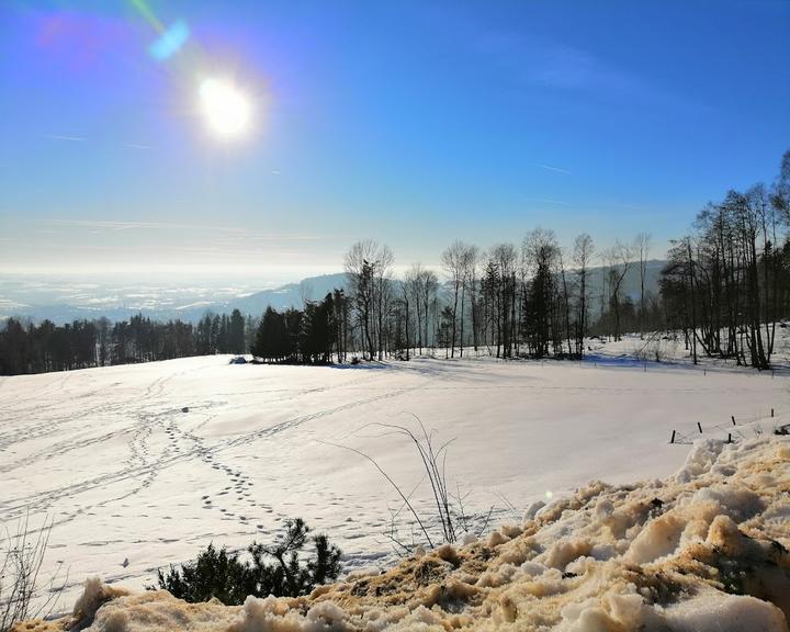 Berggasthof Sonnenalm